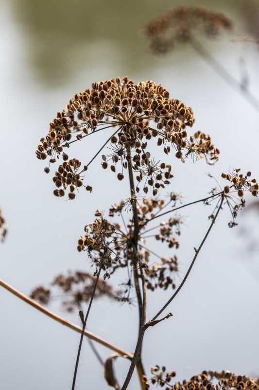 Profilbild von Karl Backes